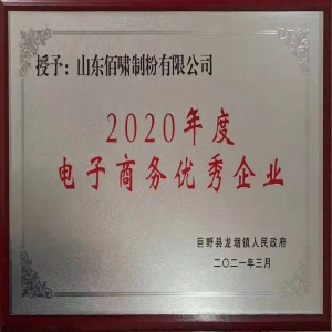 2020年度電子商務優(yōu)秀企業(yè)